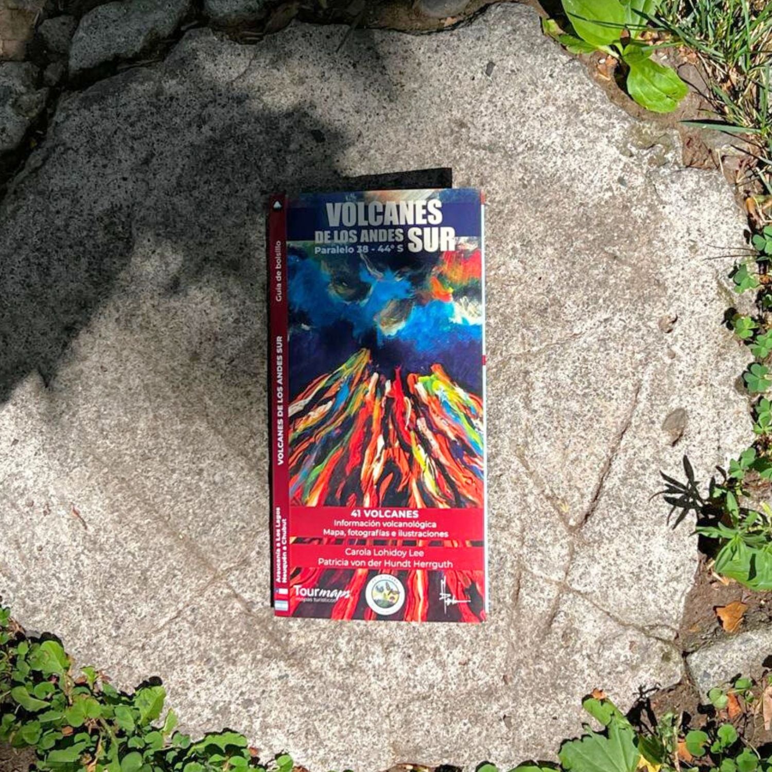 Guia de bolsillo - Volcanes de los Andes Sur