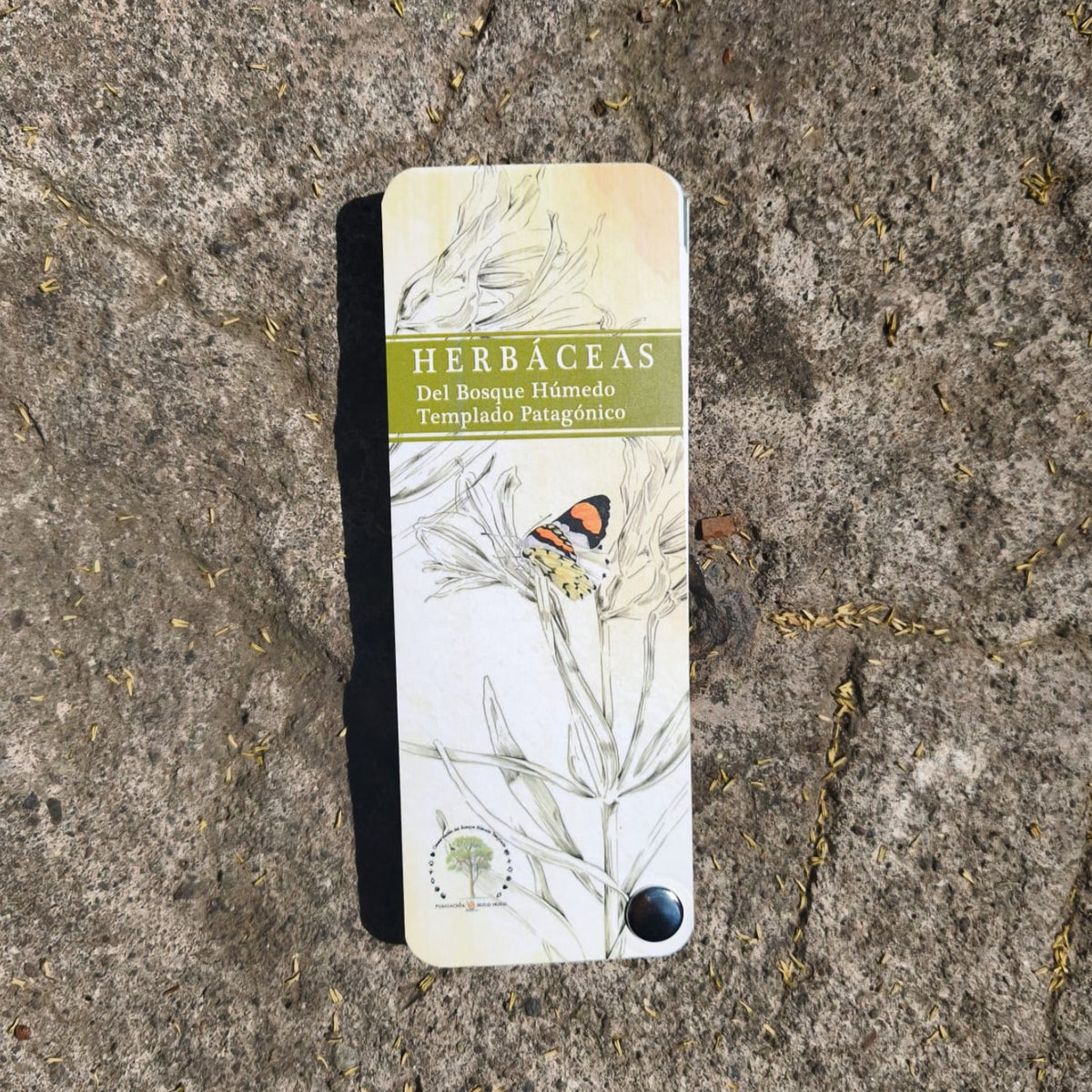 Pantonera Herbaceas del bosque húmedo templado patagónico