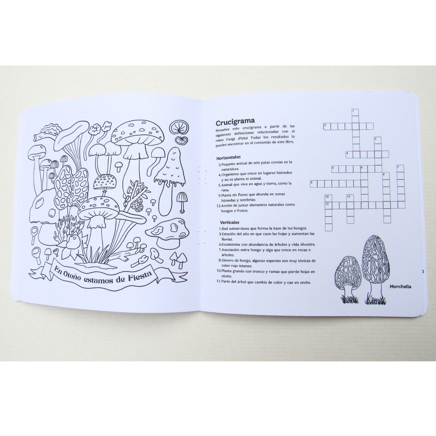 Libro de actividades: Otoño descubre y pinta