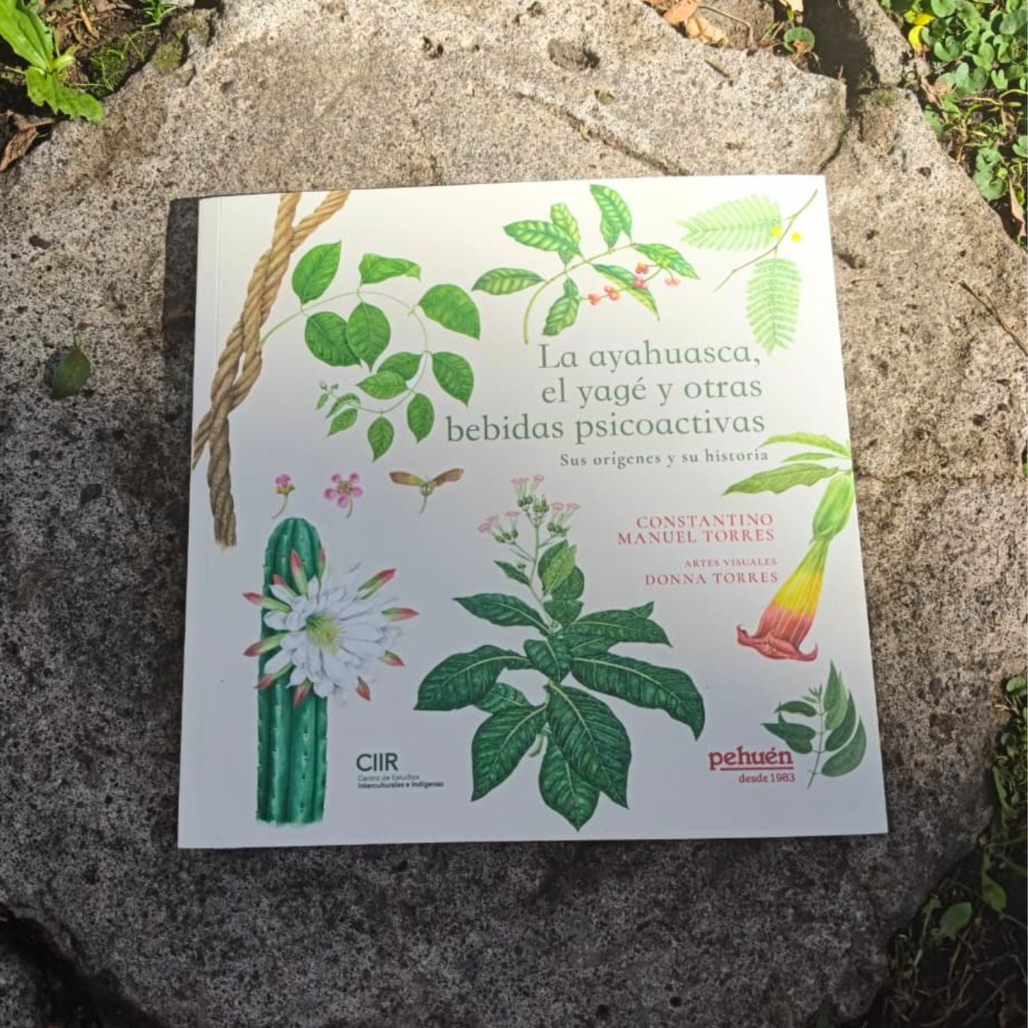 La ayahuasca, el yagé y otras bebidas psicoactivas. Sus orígenes y su historia