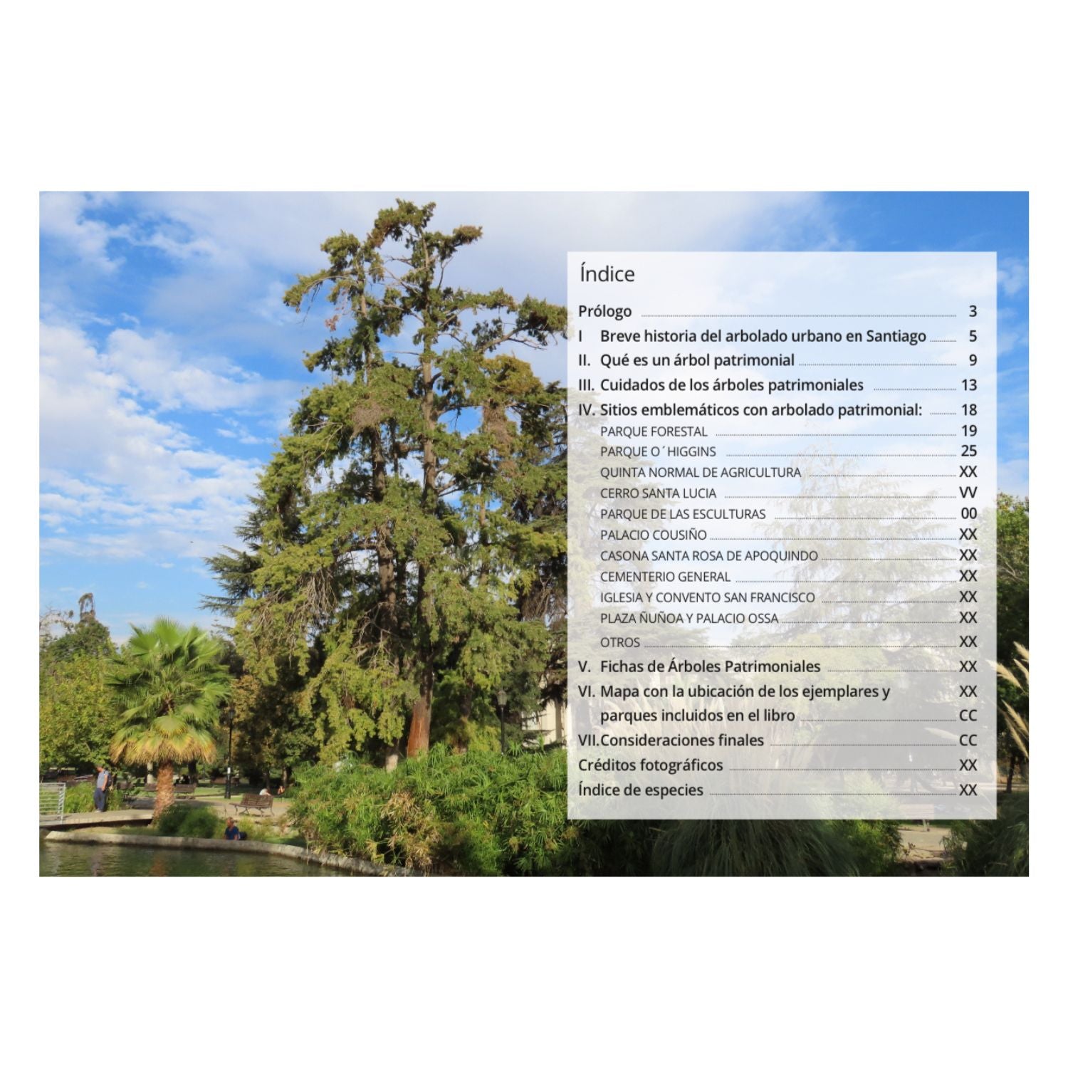 Guía de Campo Árboles Patrimoniales del Gran Santiago