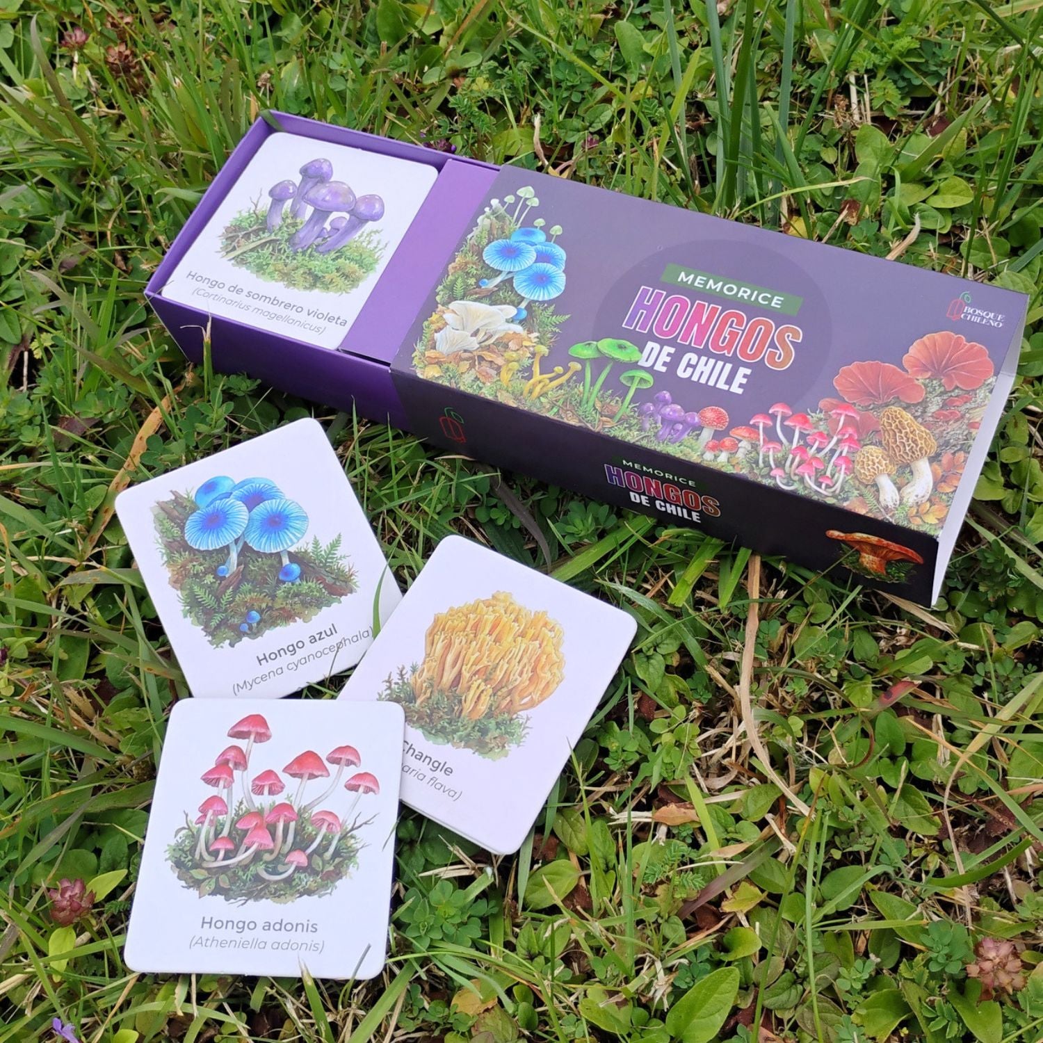 Memorice Hongos de Chile