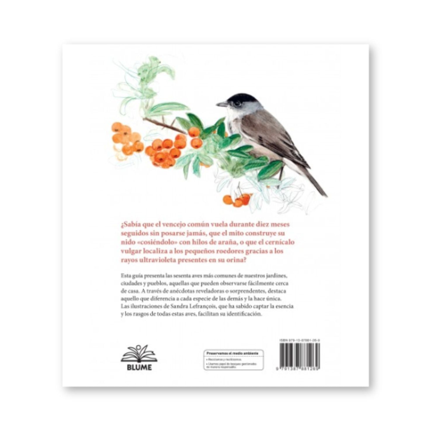 Aves de Nuestros Jardines, Ciudades y Pueblos