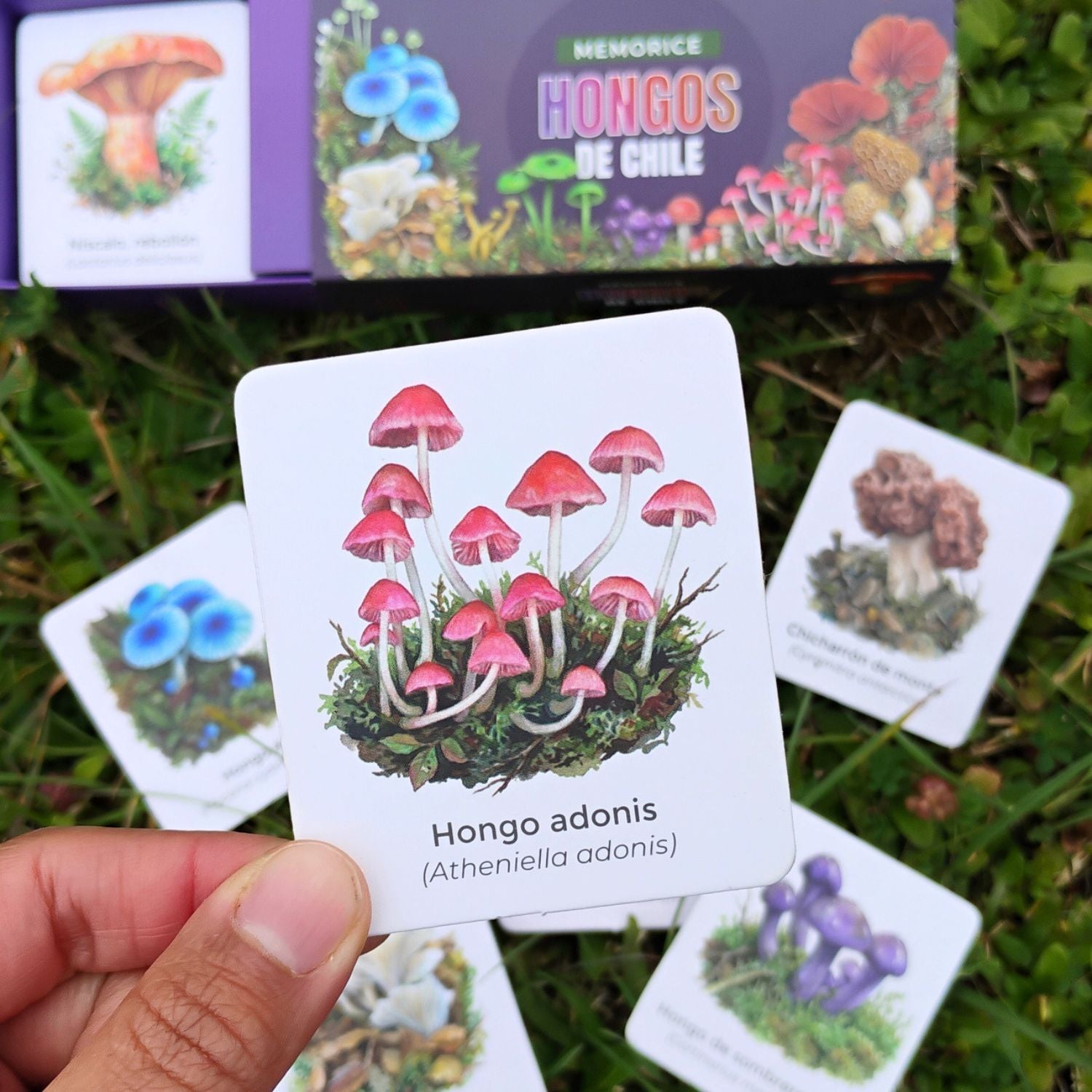 Memorice Hongos de Chile