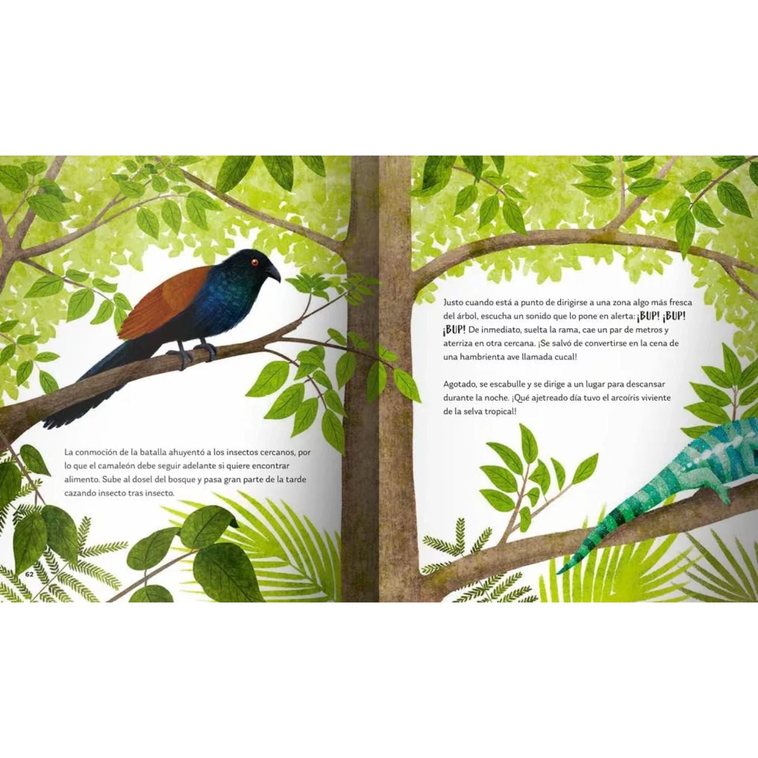 Secretos del bosque