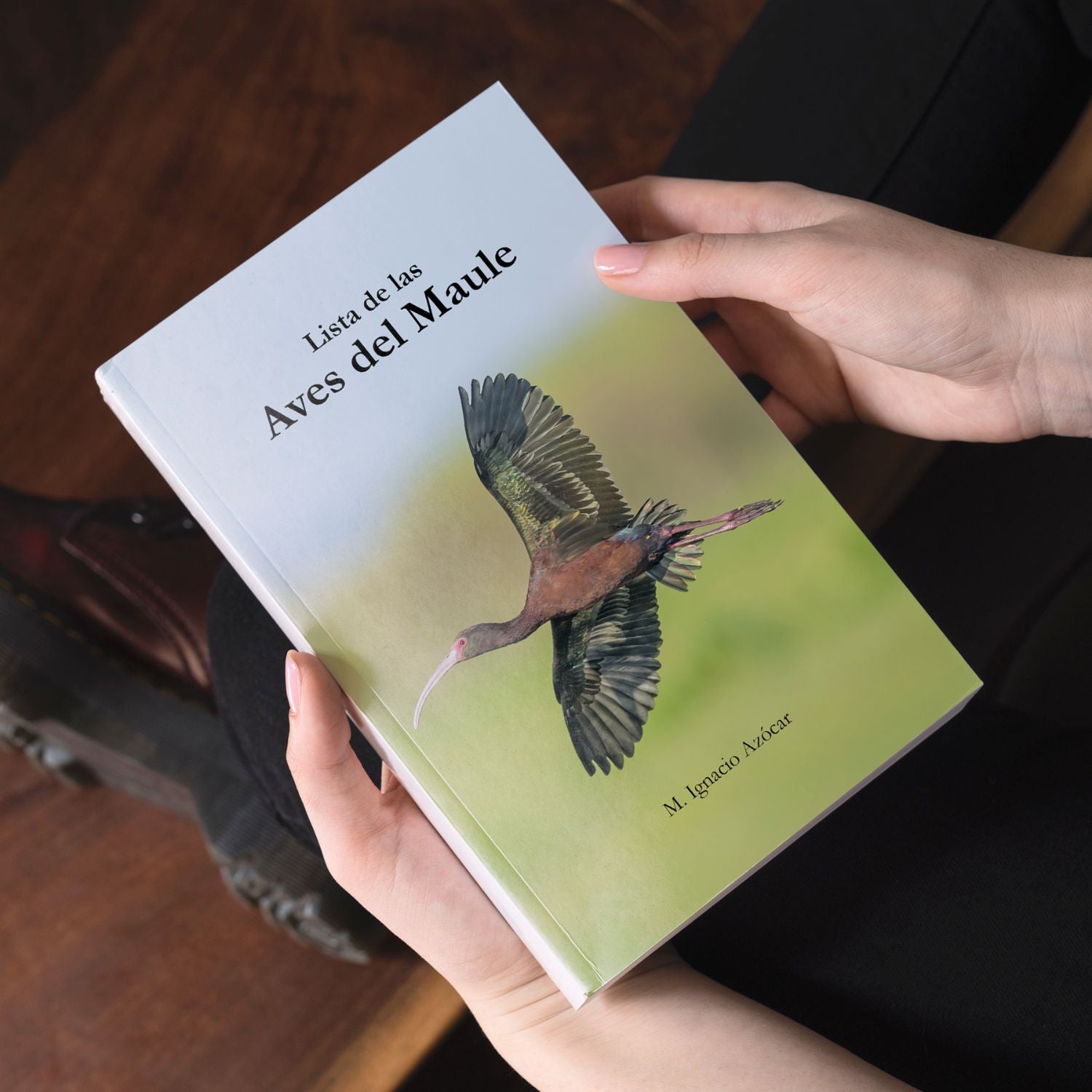 Lista de las Aves del Maule