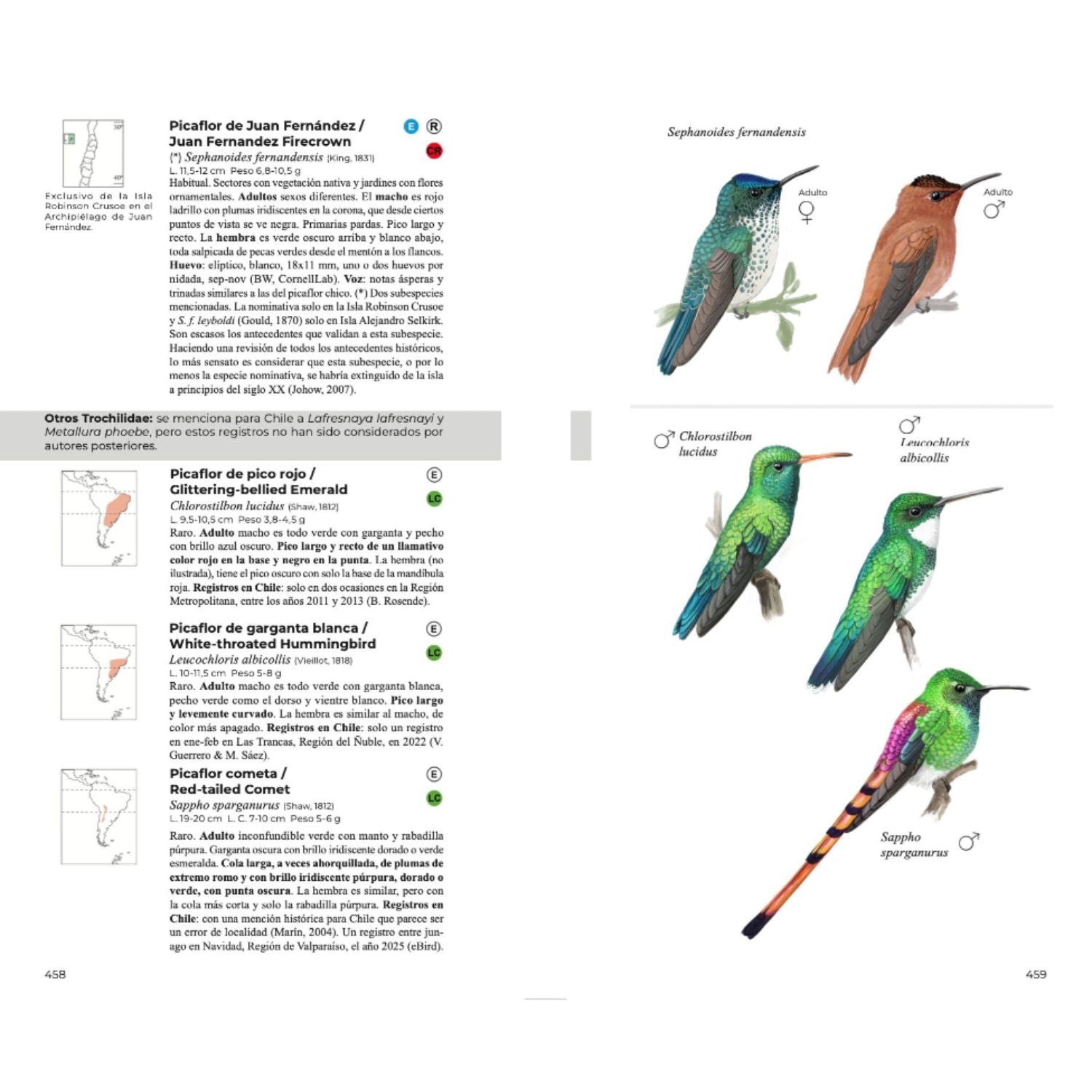 Aves de Chile - Daniel Martinez (Segunda edición)