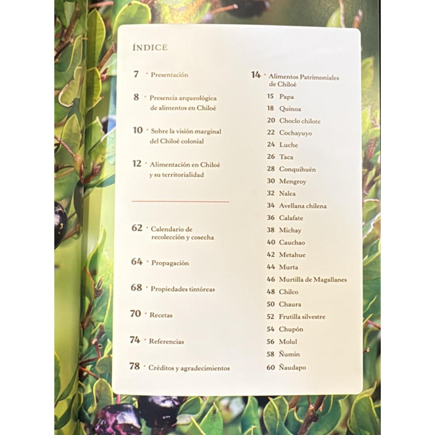 Patrimonio Alimentario del Archipiélago de Chiloé