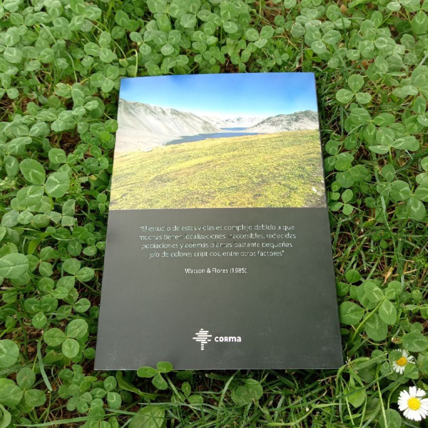 Guía de campo de las violas chilenas