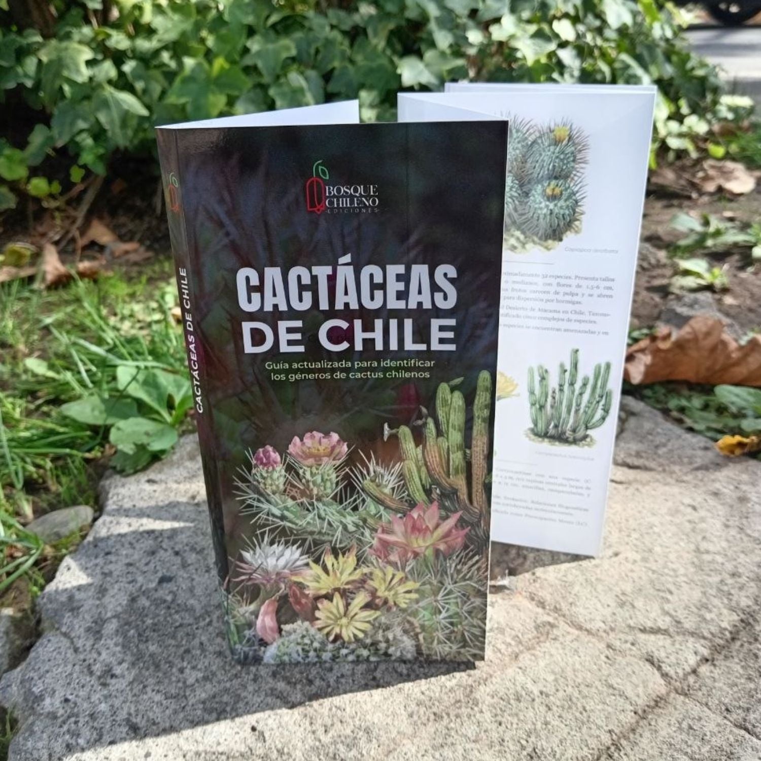 Guía de bolsillo - Cactáceas de Chile