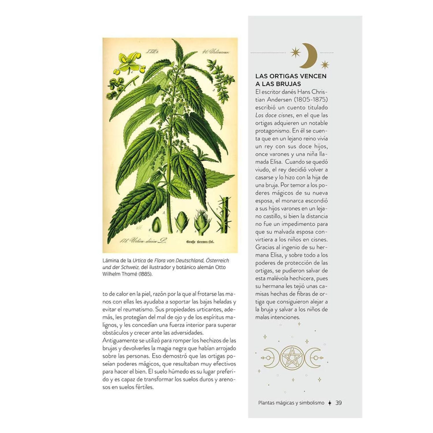 Plantas con poderes mágicos