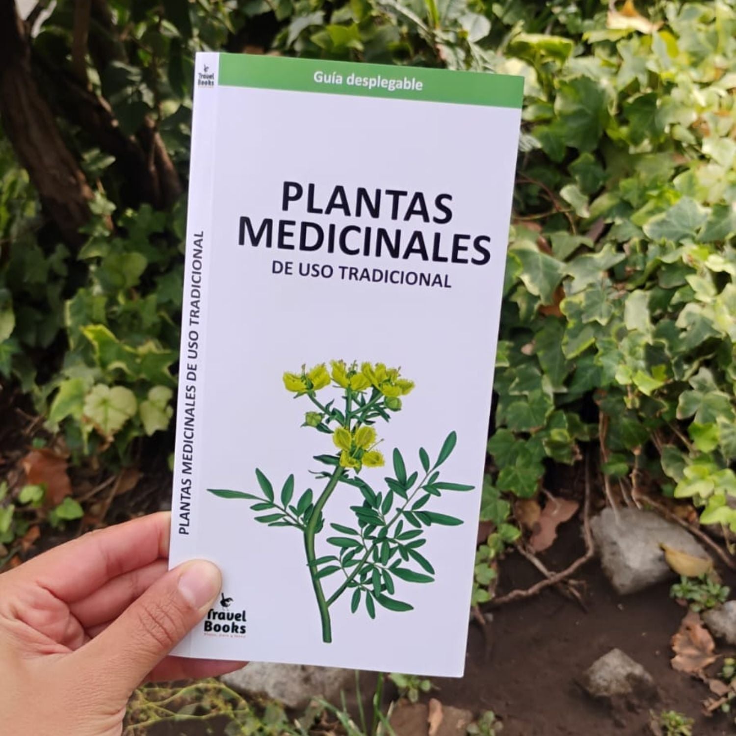 Guia de bolsillo - Plantas medicinales de uso tradicional