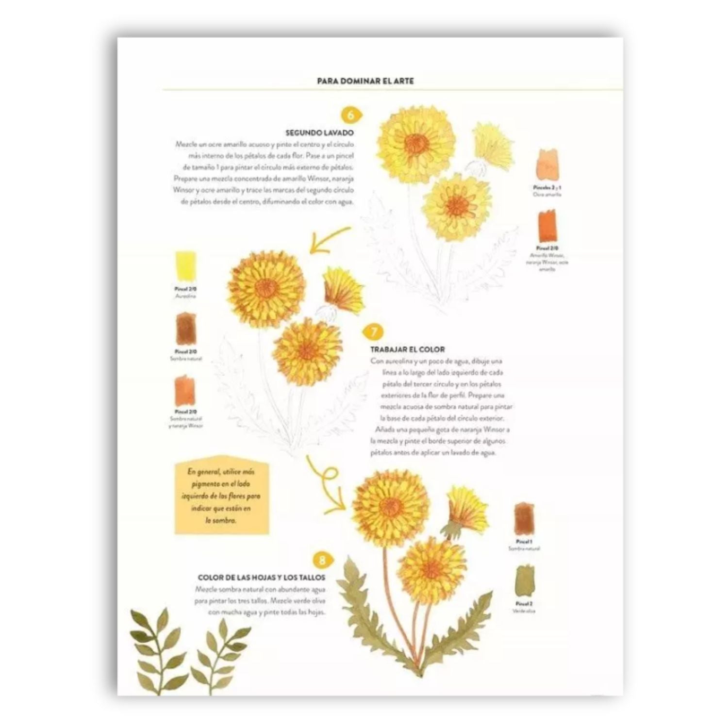 Pintar Acuarelas en 10 pasos: Flores y Plantas
