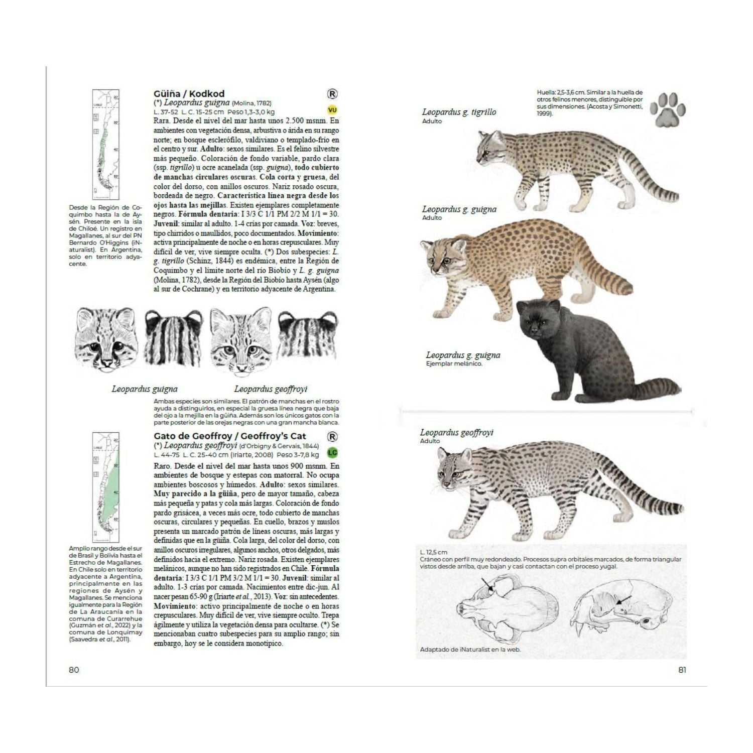 Guia de campo Mamiferos de Chile - Daniel Martínez