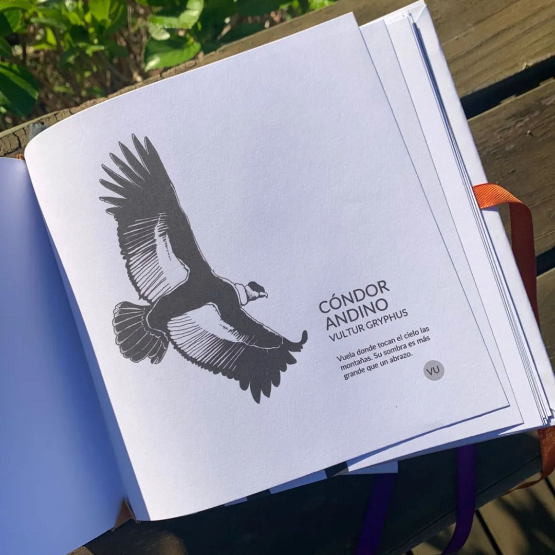 Animalejos - Libro para colorear