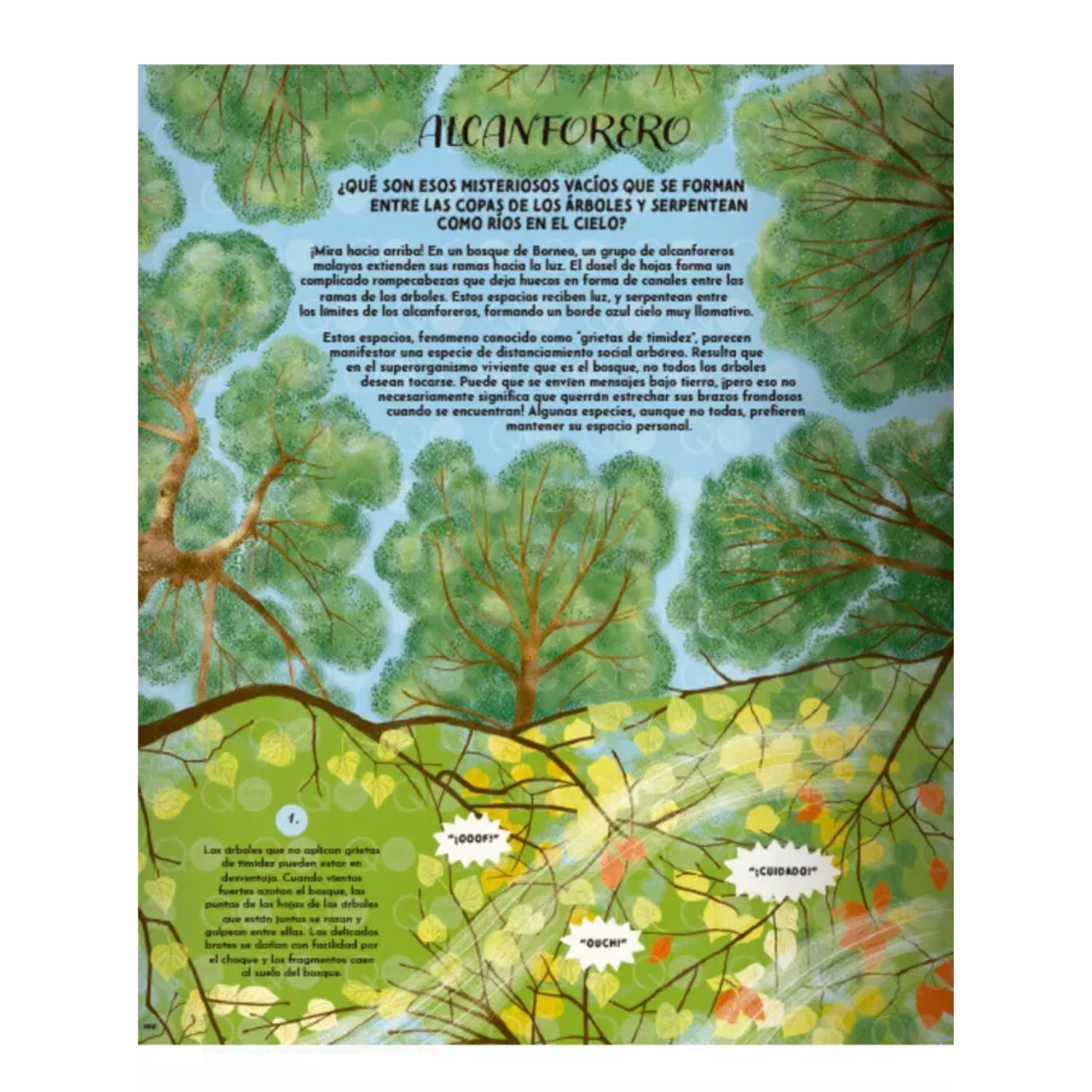 El lenguaje de la naturaleza