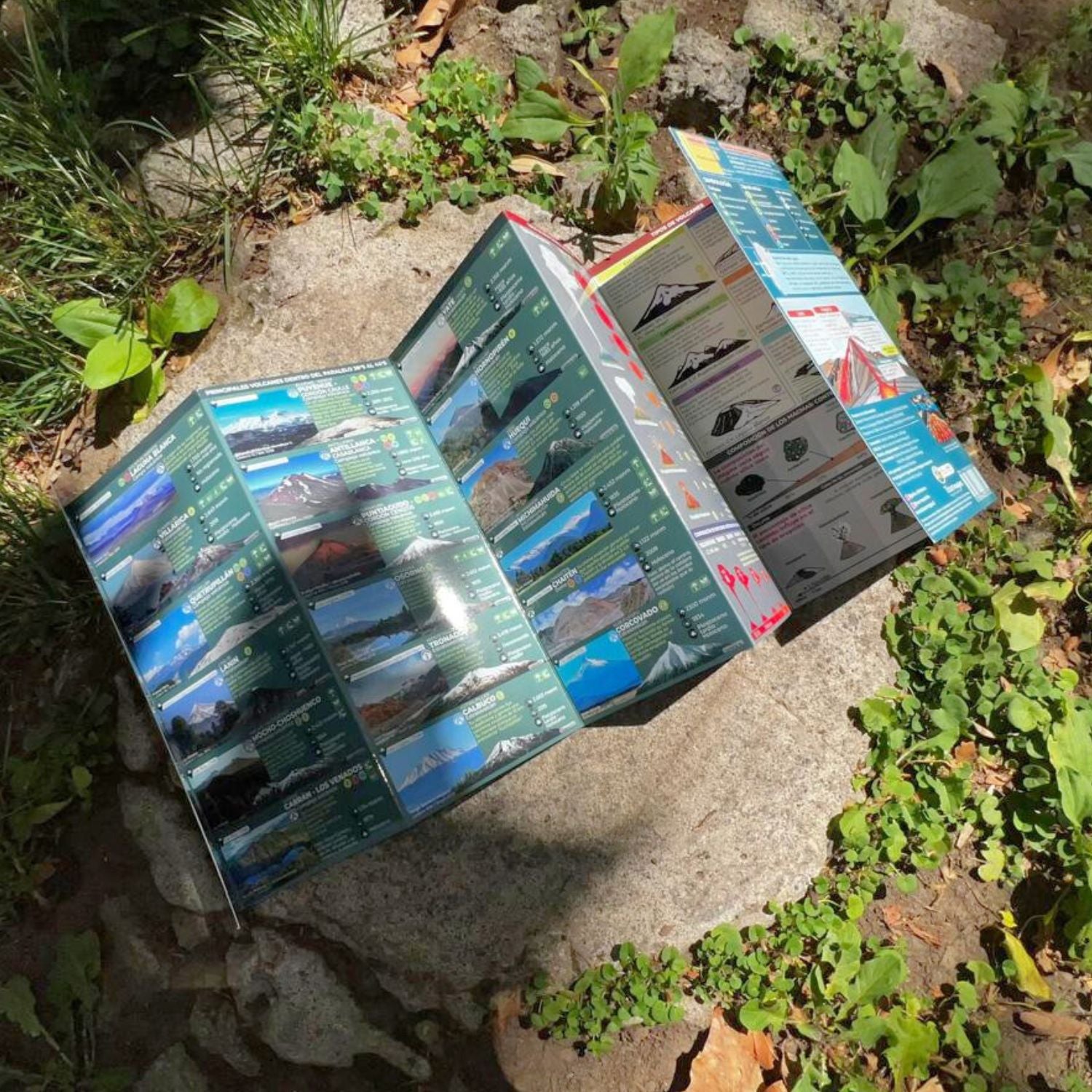 Guia de bolsillo - Volcanes de los Andes Sur