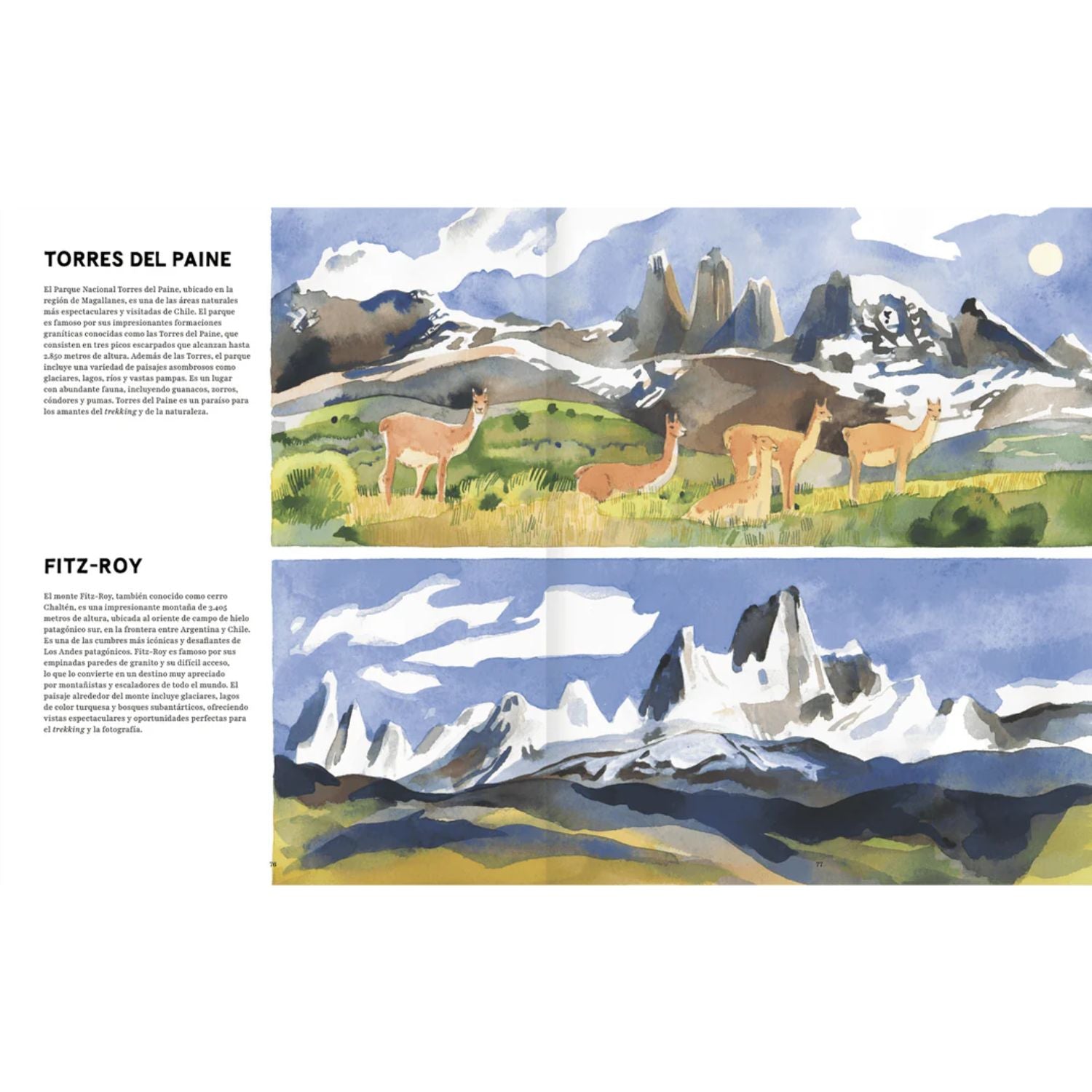 Patagonia