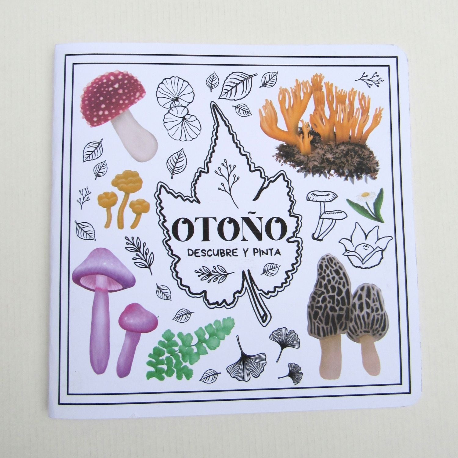 Libro de actividades: Otoño descubre y pinta