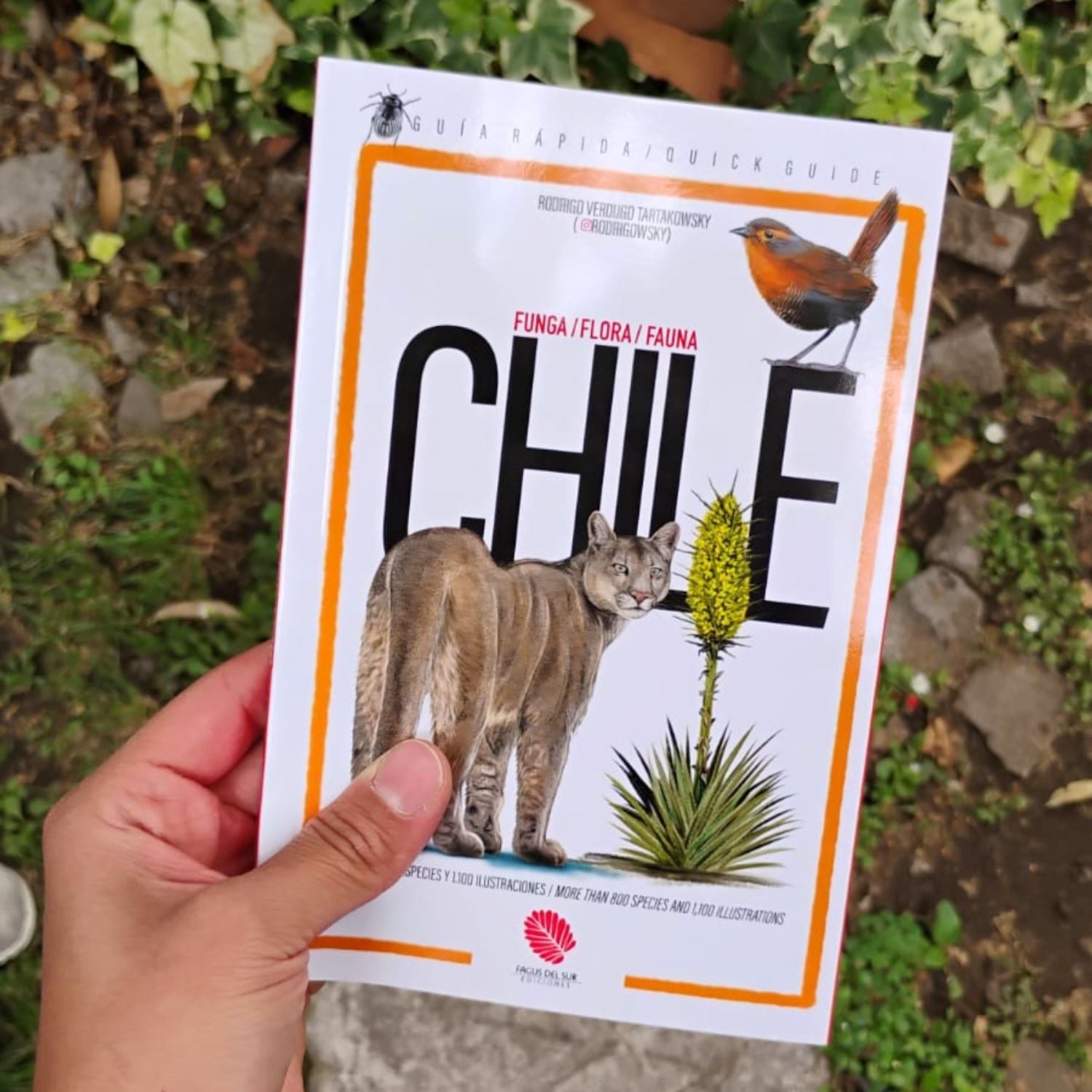 Guía de Chile: Funga, Flora y Fauna (Español-Inglés)