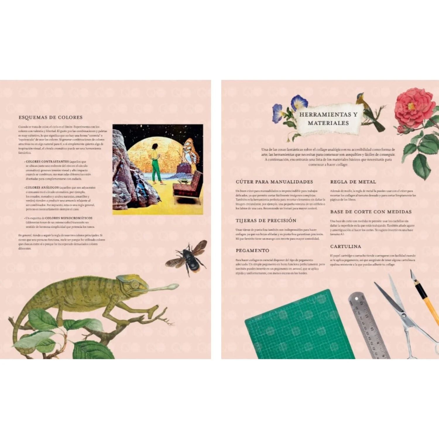 Recorta y crea collages botanicos