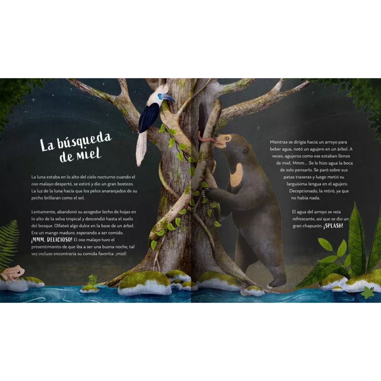 Secretos del bosque