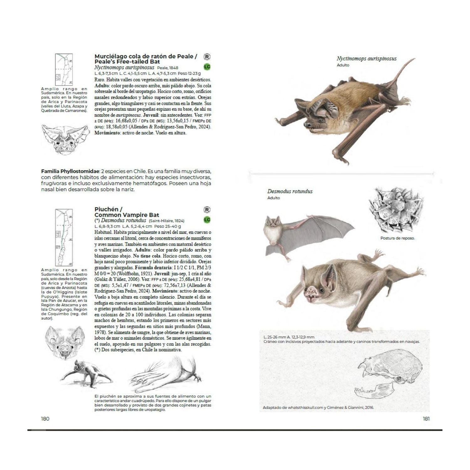 Guia de campo Mamiferos de Chile - Daniel Martínez