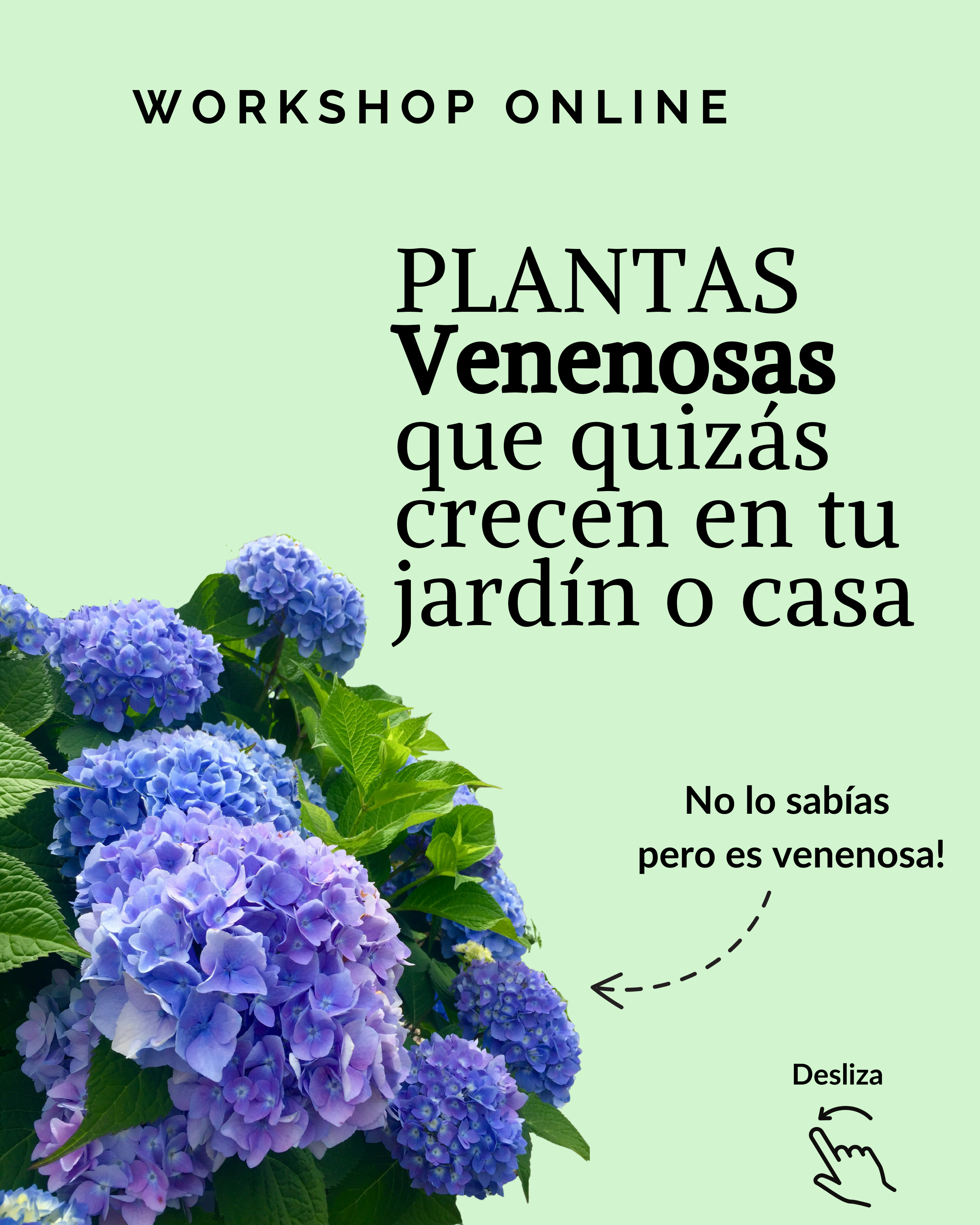 Workshop online: Plantas venenosas que quizás crecen en tu jardín o casa