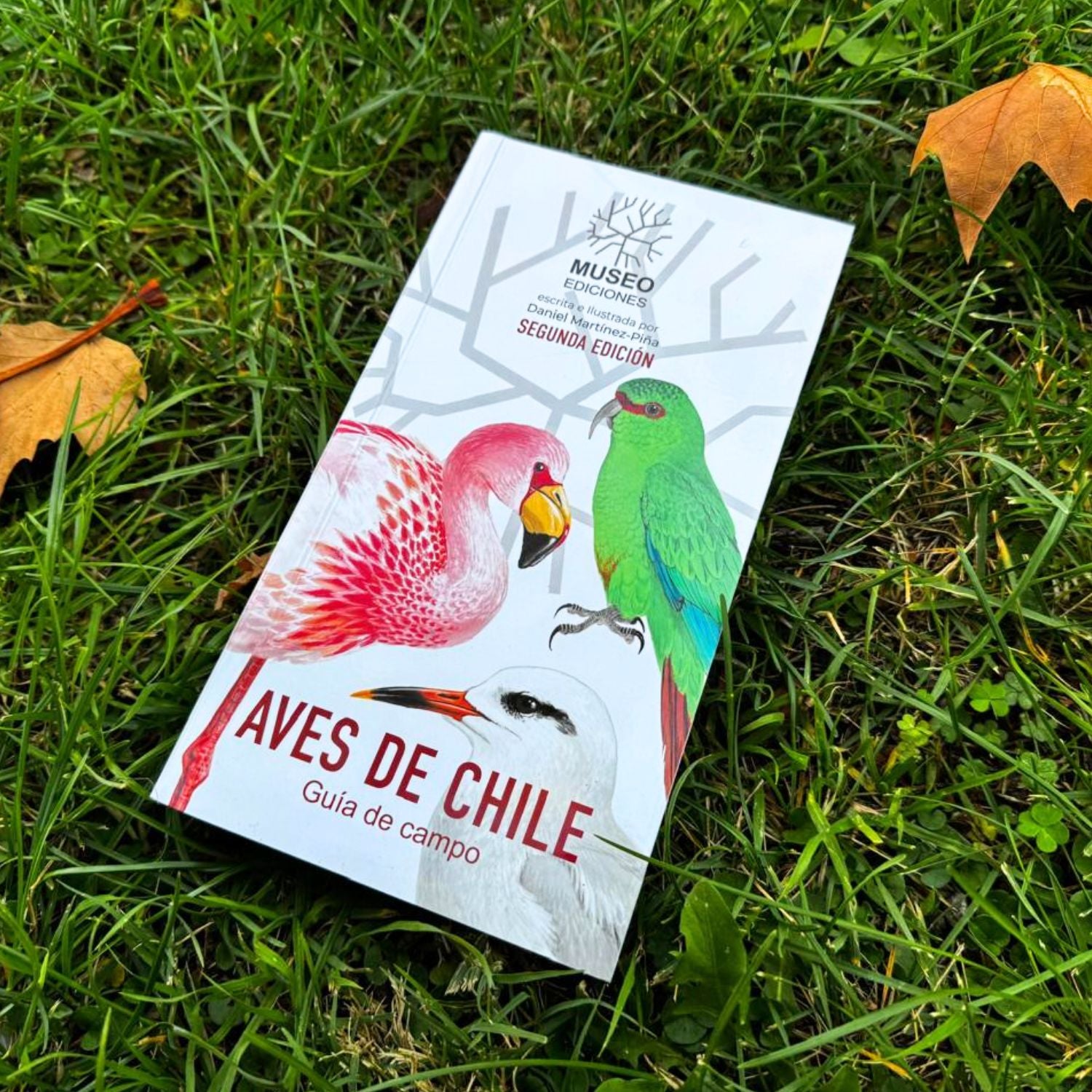 Aves de Chile - Daniel Martinez (Segunda edición)