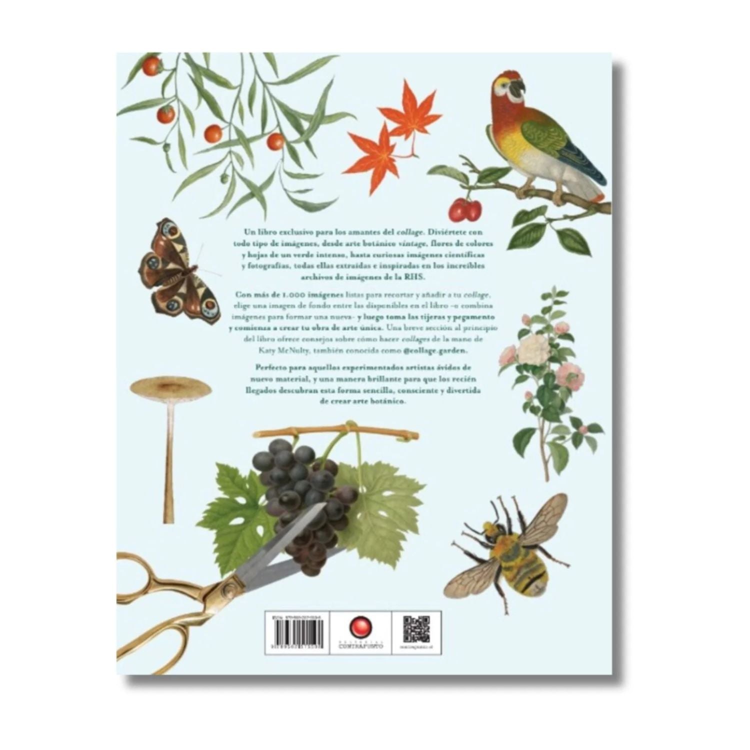 Recorta y crea collages botanicos