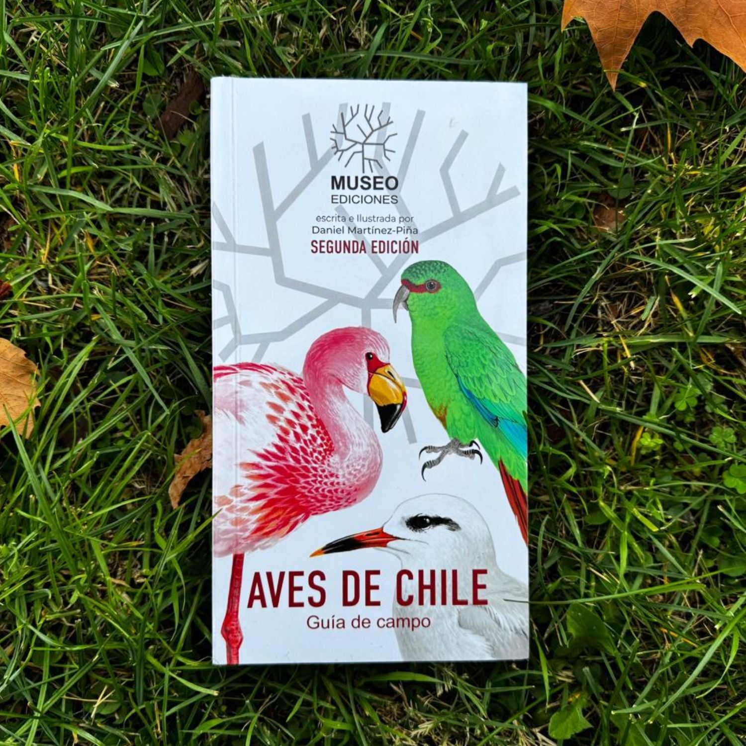 Aves de Chile - Daniel Martinez (Segunda edición)