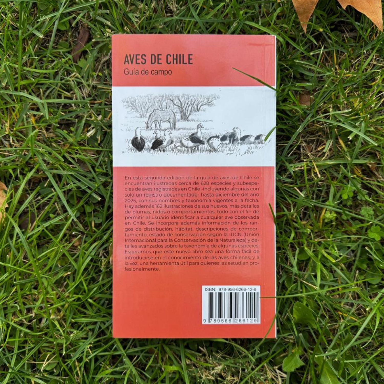 Aves de Chile - Daniel Martinez (Segunda edición)