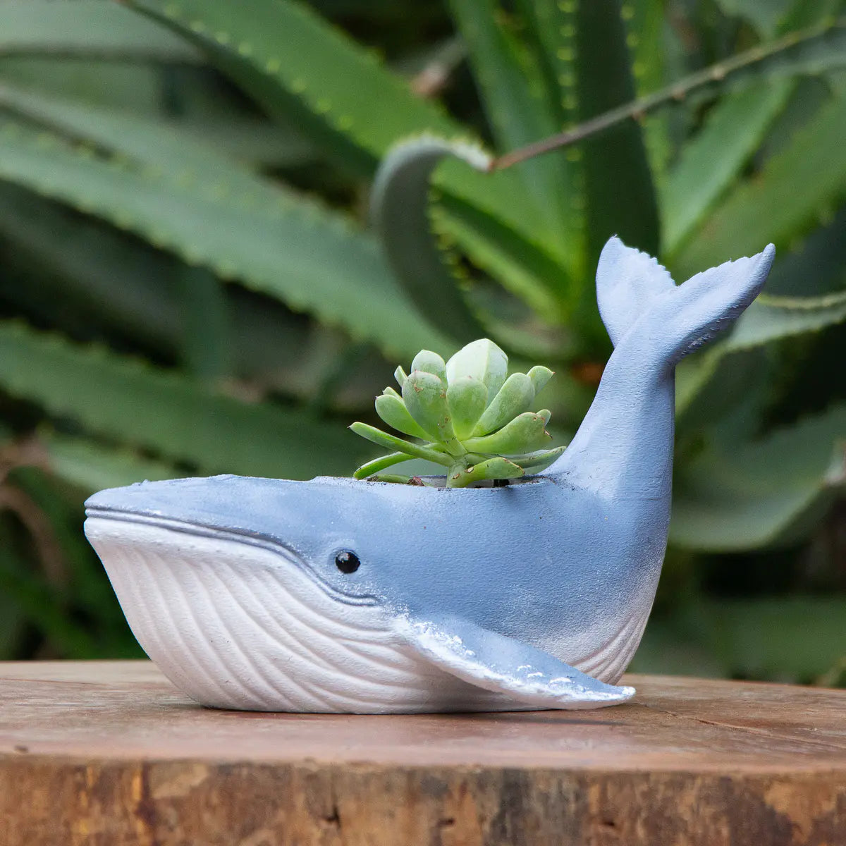 Macetero Fauna Chilena 3D