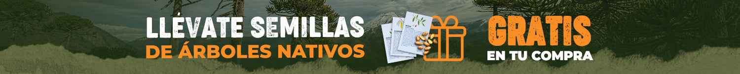 Banner Semillas Web - Cyber BC 2026 - 1500 X 150 px.jpg__PID:54d25b7d-159c-476a-82e6-6bbd47142556