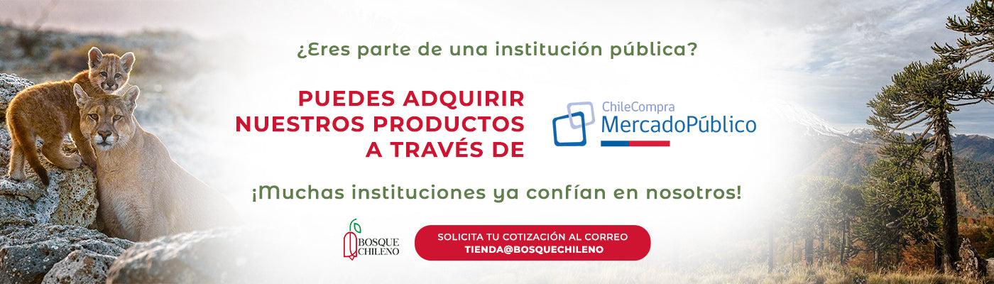 Banner Web - Banner Chile Compra - BC - 1400 X 400 px.jpg__PID:ec440abe-d914-4966-9448-de272941210e