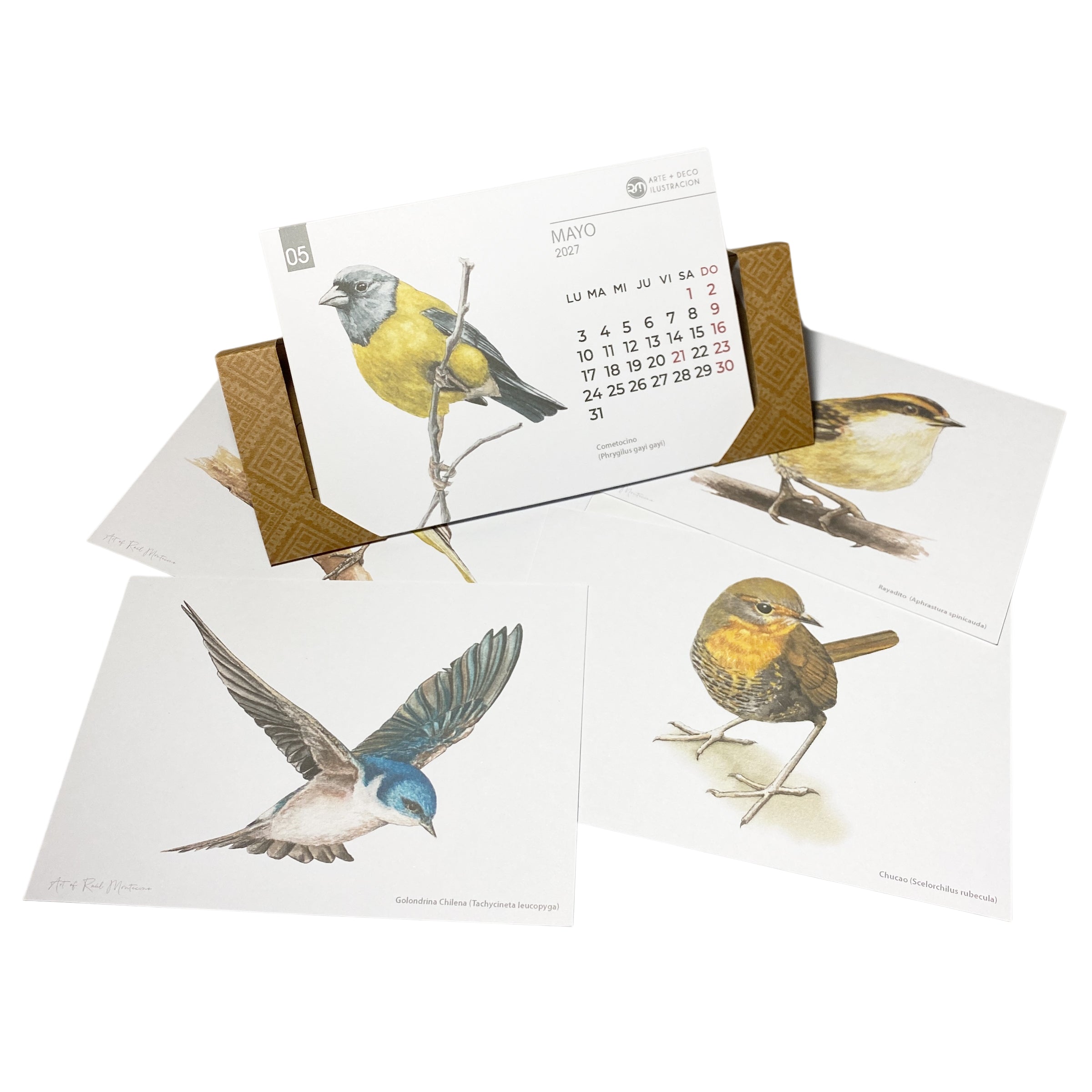 Calendario de escritorio 2027 - Aves de Chile