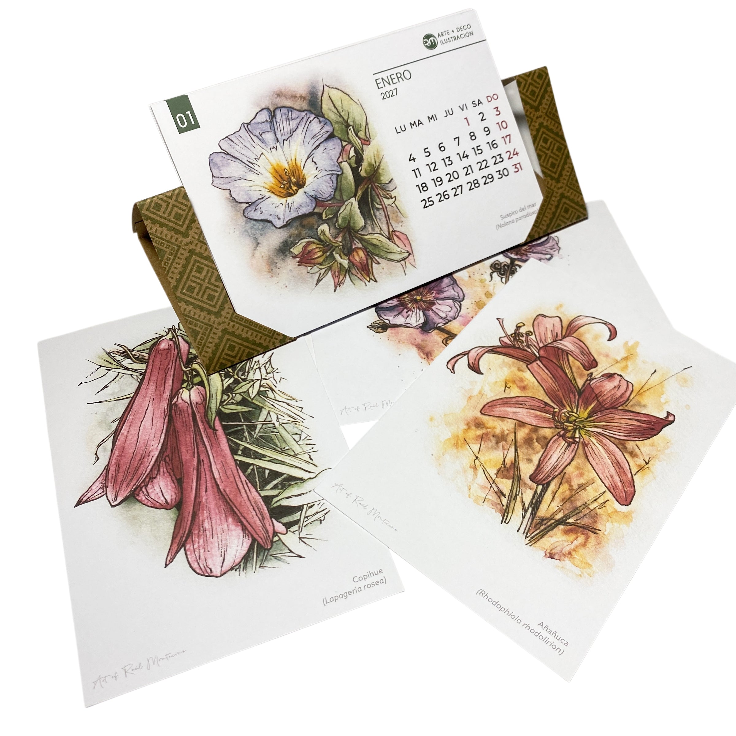 Calendario de escritorio 2027 - Flores de Chile