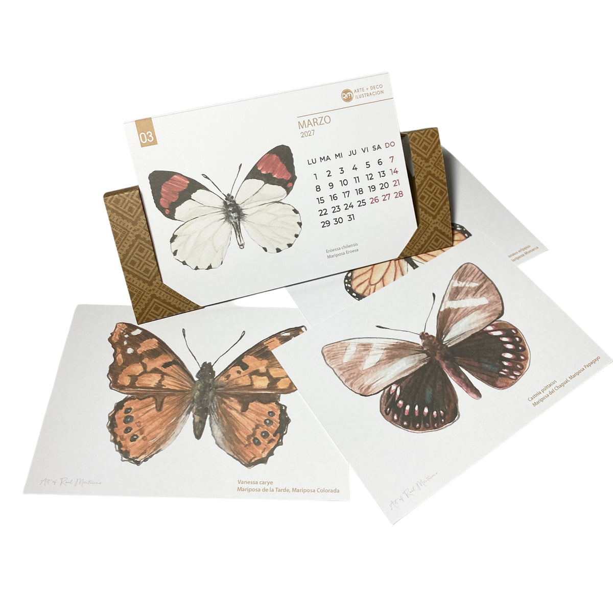 Calendario de escritorio 2027 - Mariposas de Chile