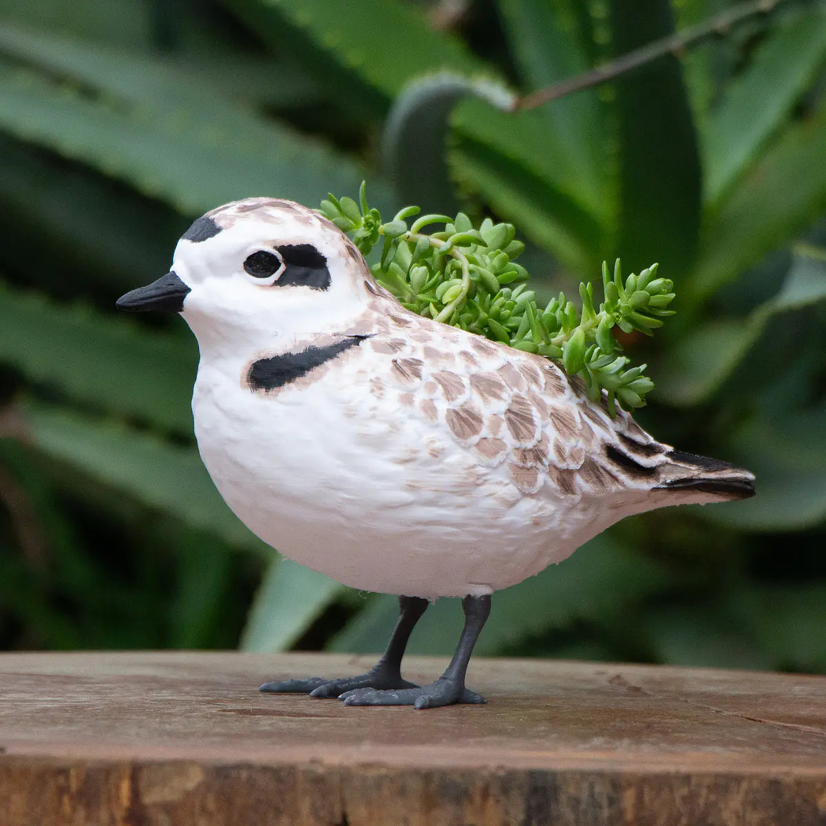 Macetero Fauna Chilena 3D