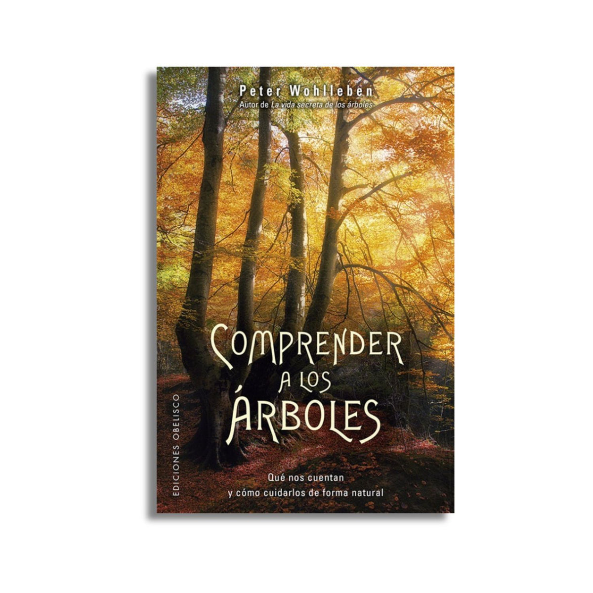 Comprender a los árboles
