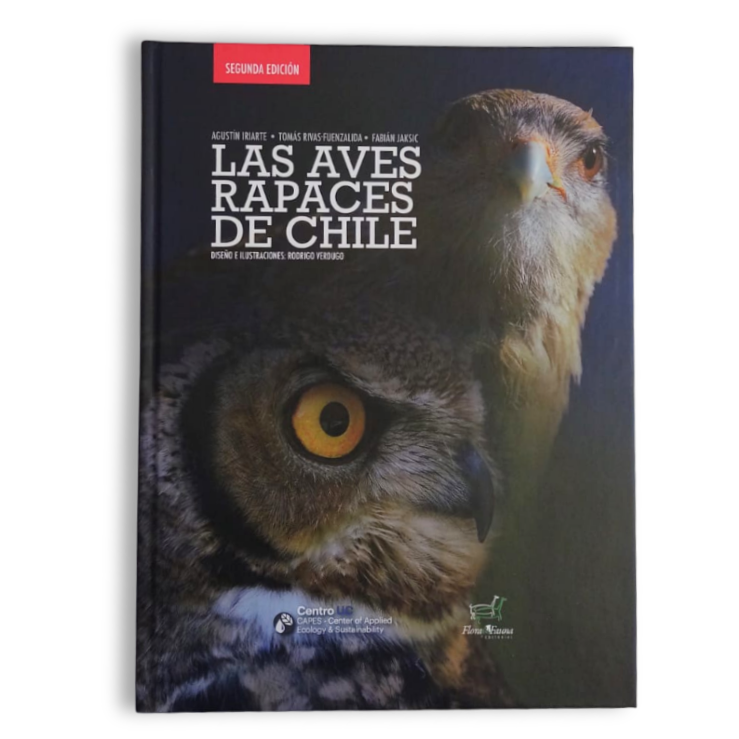 La Aves Rapaces De Chile (tapa Dura) – Bosquechileno