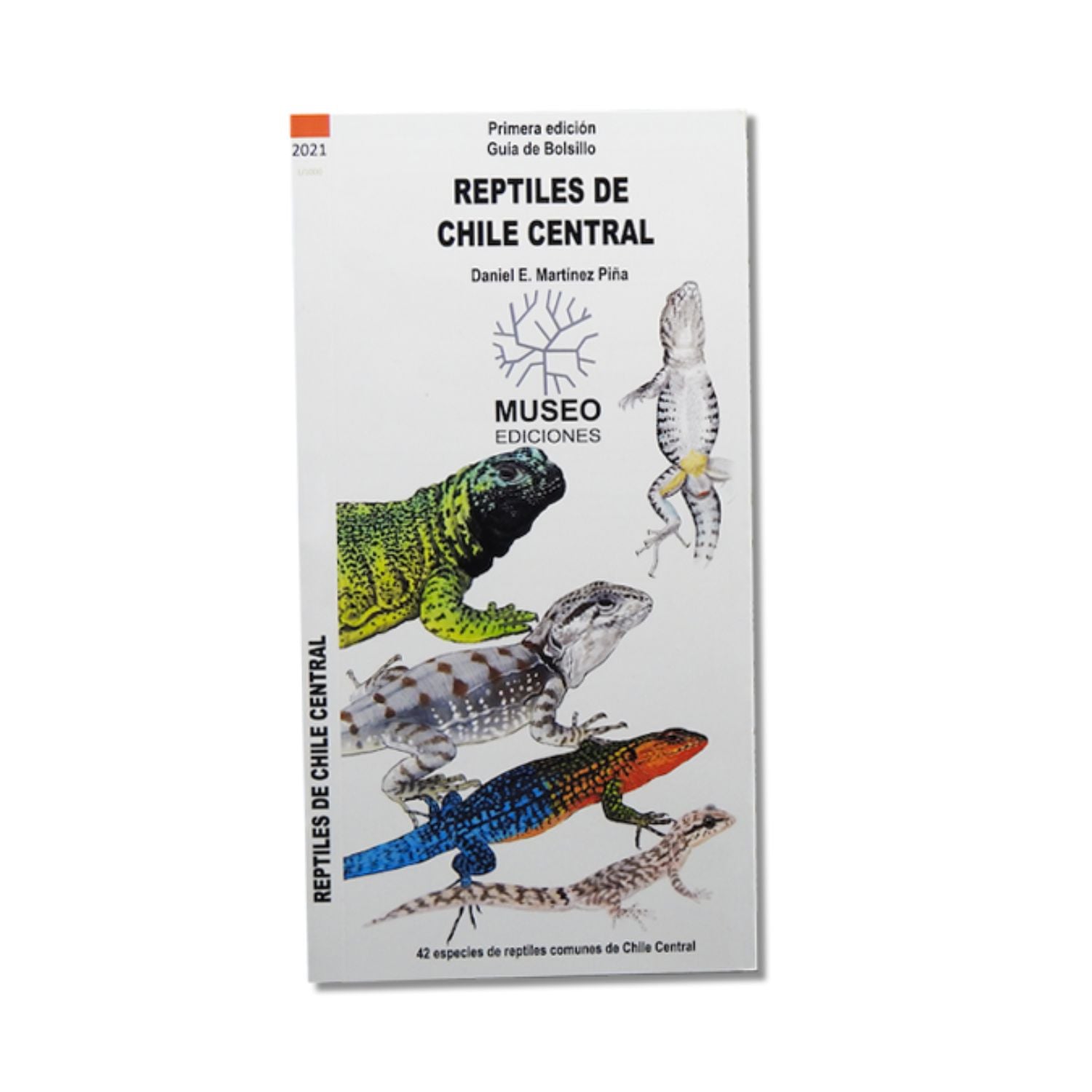 Guía de Bolsillo - Reptiles de Chile Central Segunda Edición