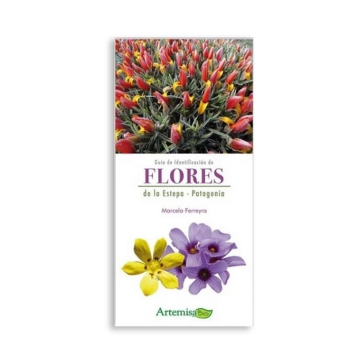 Guía de Identificación de Flores de la Estepa - Patagonia