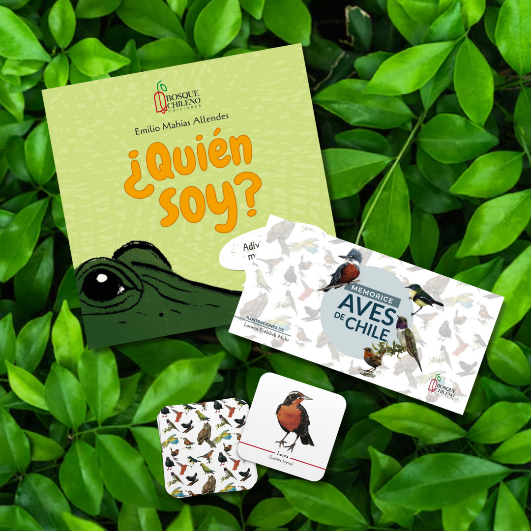 Pack Avifauna Kids