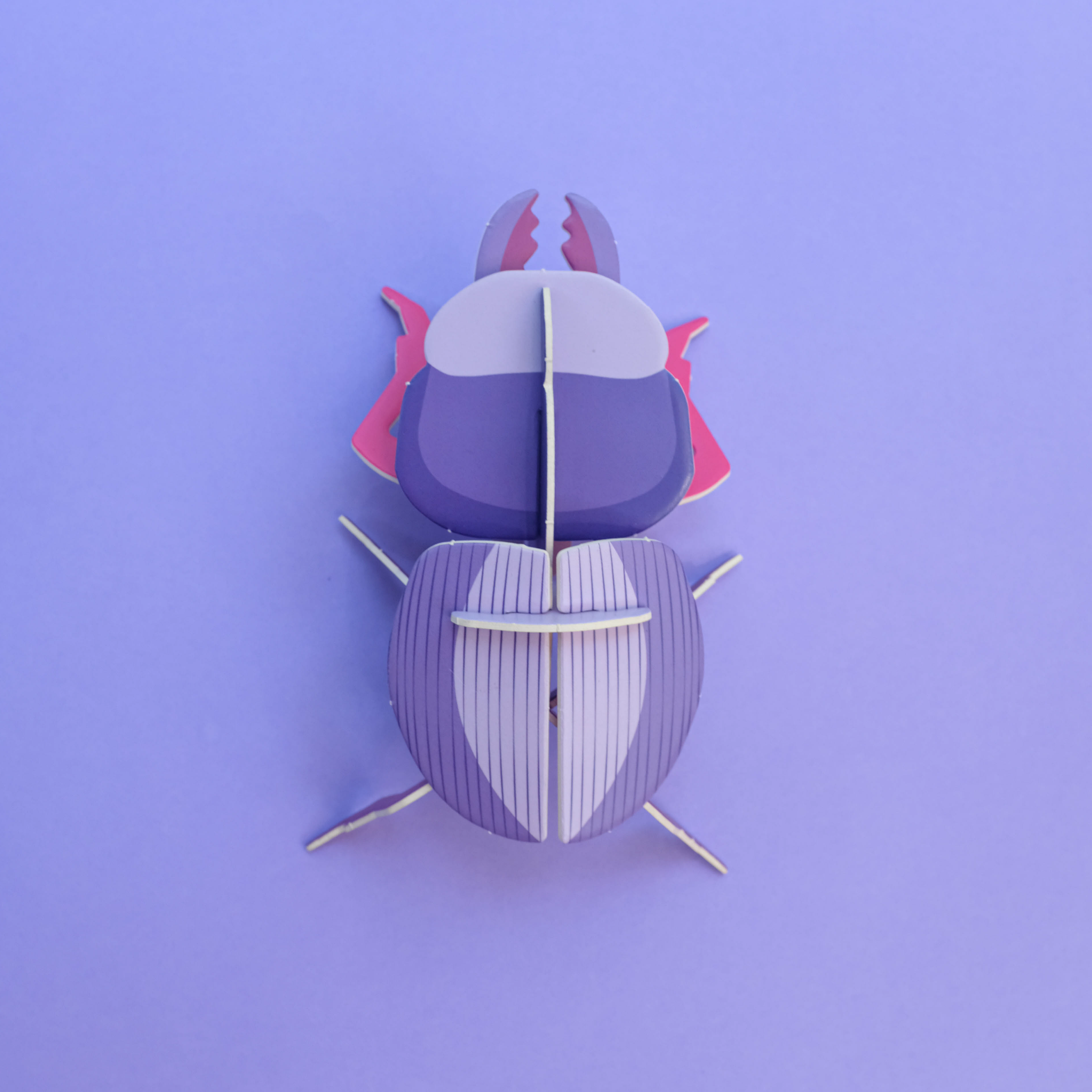 Armable Escarabajo borrachito - Morado