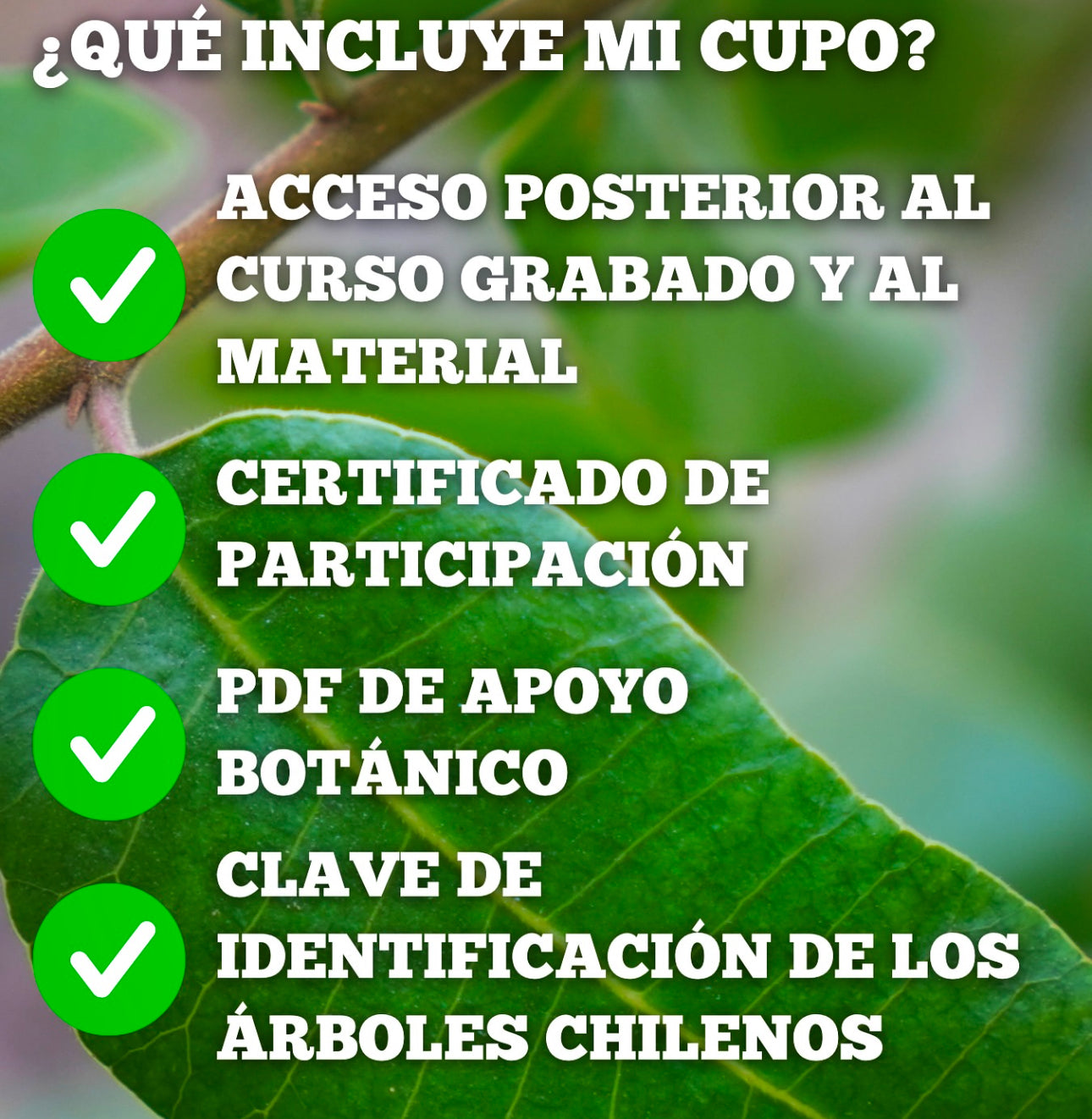 Curso digital: Árboles de Chile