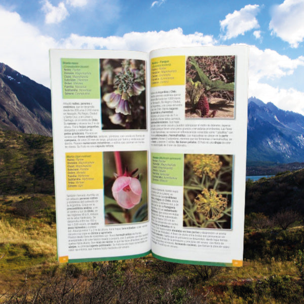 Guía de Identificación de Flores de la Patagonia Andina