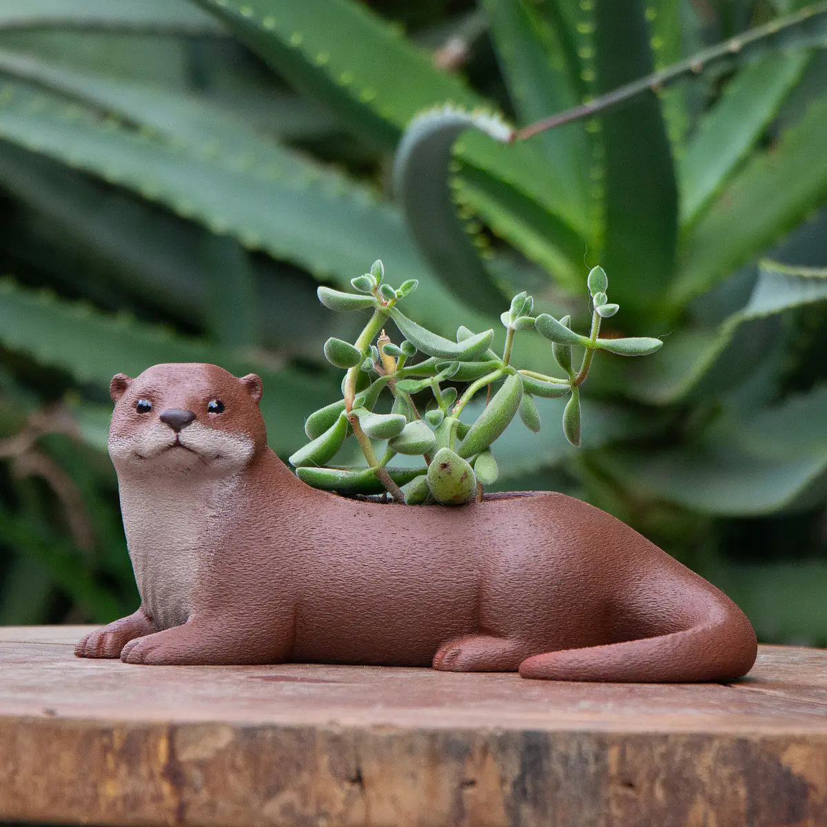 Macetero Fauna Chilena 3D