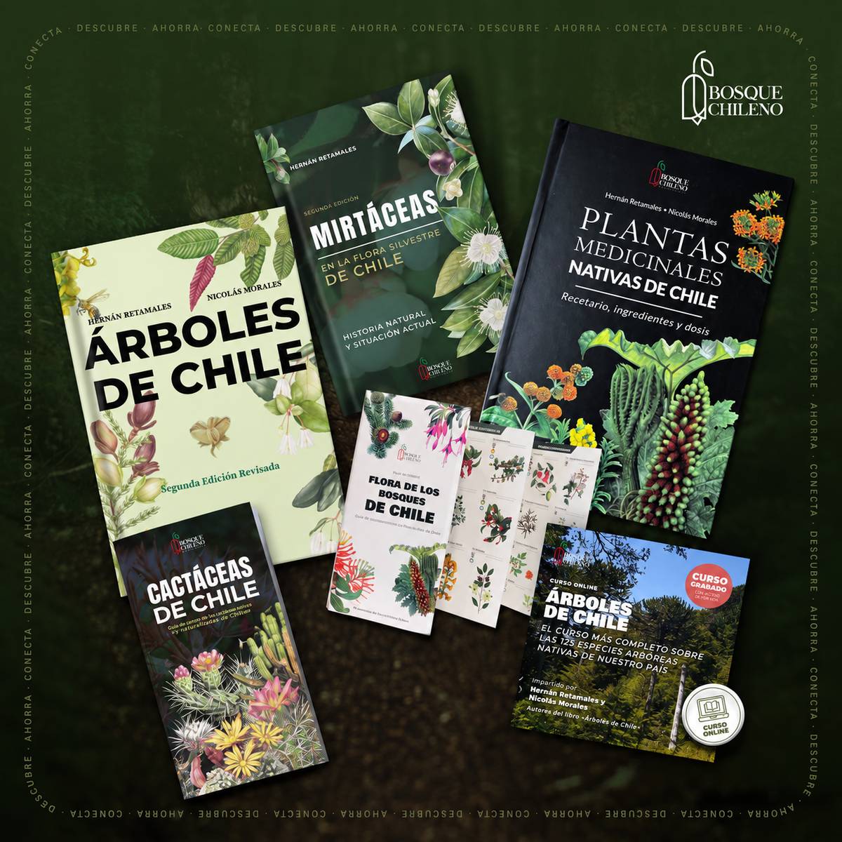 Megapack Bosque Milenario