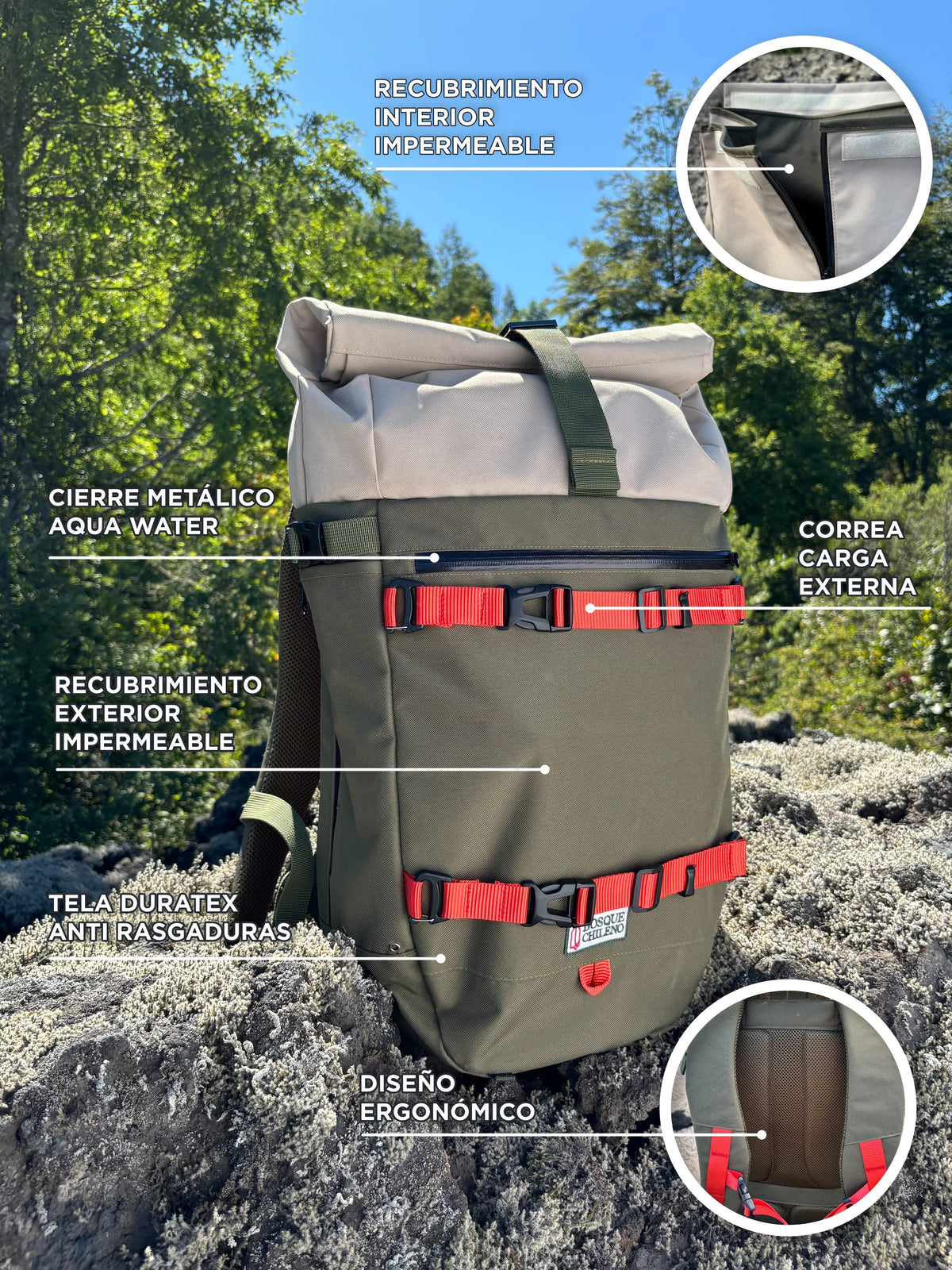 Mochila Bosque Chileno
